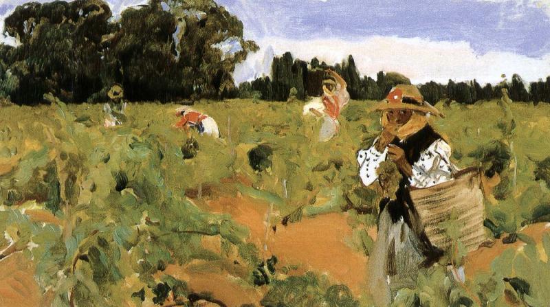 Joaquin Sorolla Sherry grape mining